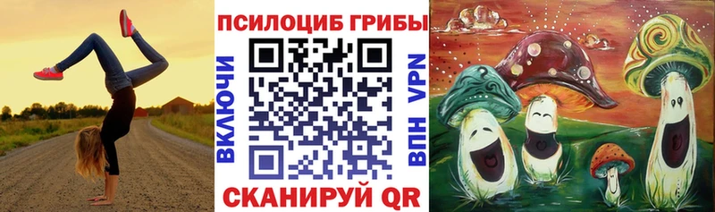 сайты даркнета какой сайт купить сайты Куса Псилоцибиновые грибы Psilocybine cubensis